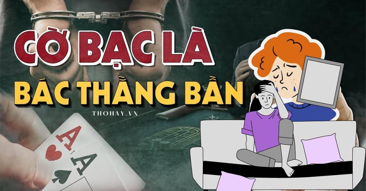 Khám phá thế giới giải trí đỉnh cao với Cocktail Nights cùng trải nghiệm vô tận tại Cocktail Nights